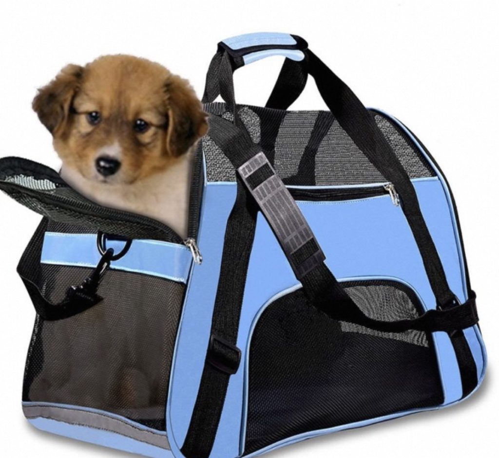 dog bags for travel