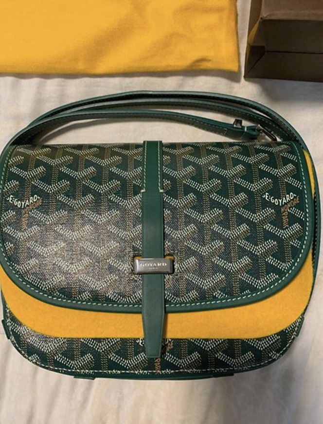 goyard luggage