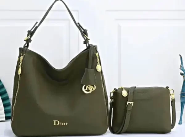 dior hobo bag