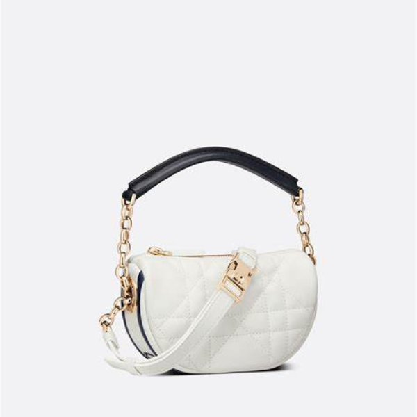 dior hobo bag